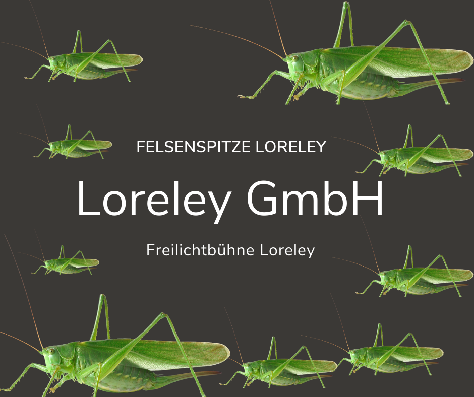 Loreley GmbH